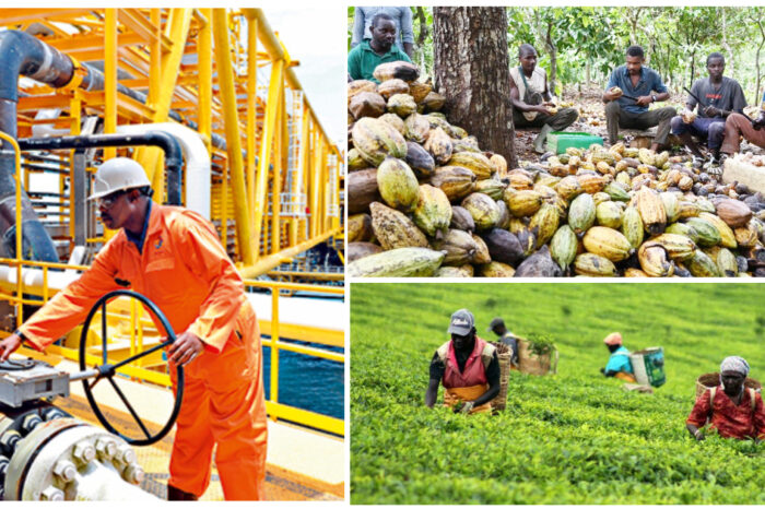 African Countries That Are World-Leading Producers
